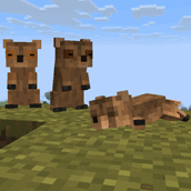 resting with the gang