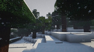 Snow in forest.jpg