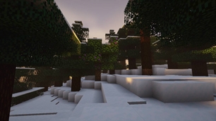 Forest at sunrise.jpg