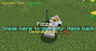 Despawn Timer