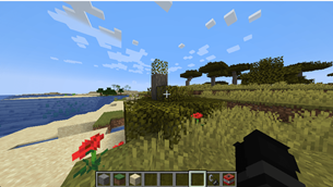 Collapse physics