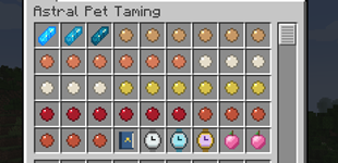 Items