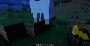 image.gif