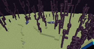 image (22).png