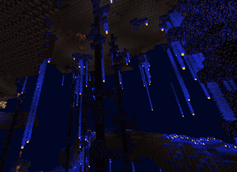 image (17).png