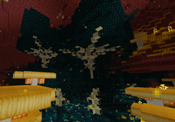 image (16).png