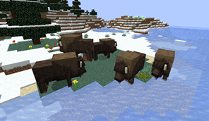 image (11).png