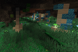 image (10).png