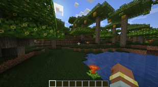 image.webp