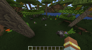 image.webp