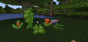 image.webp