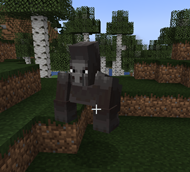 image.webp