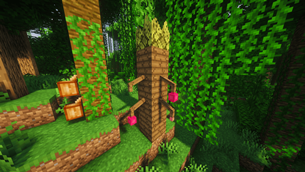 Locacaca Trees