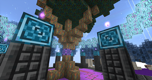 Tree of Life