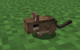 degu-baby.png