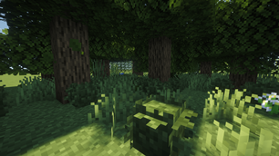 Bush