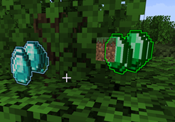 image1.png