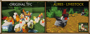 comparison31.png