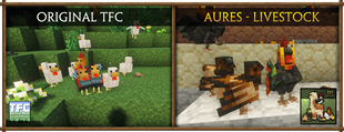comparison32.png