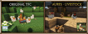 comparison36.png