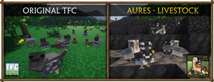comparison41.png