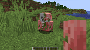Zombified Piglin's foot.png