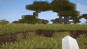 Ingame Zoom.png