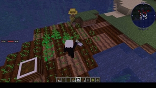 farmer_field.jpg