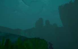 Kelp Forest