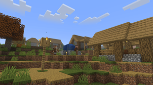 Village