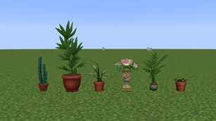 Plant Section