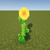 Default Sunflower in Minecraft
