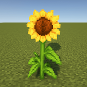 Sunflower HD