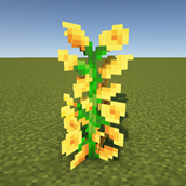 Golden Cascade Sunflower