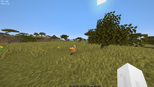 FPS and Ping Viewer.png