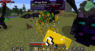 Lucky Blocks