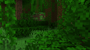Jungle Biome