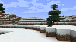 Windswept Hills Biome