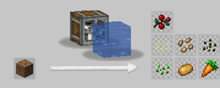 Seeds.png