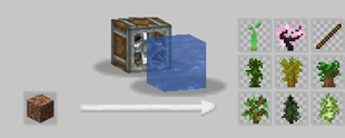 Saplings.png