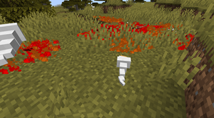 Maggots gathering on decaying organs.png