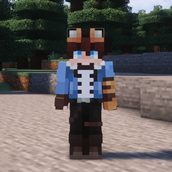 Default skin for reference