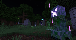 A random ruin