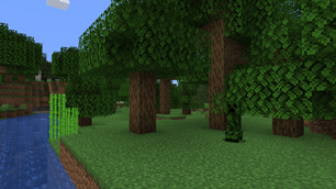 Forest Biome