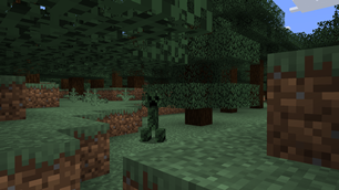 Taiga Biome