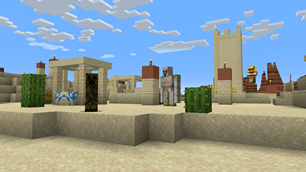 Desert Biome