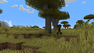 Savanna Biome