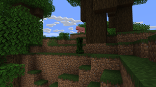 Dark Oak Forest Biome