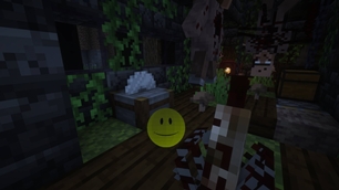 VerityCraft