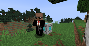 villagerthing.png